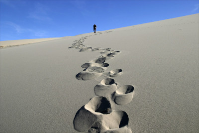 Tournai_desert